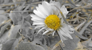 Coaching vs.Therapie