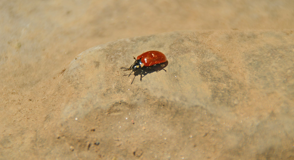 Bla bla bla, sie kann gut&nbsp;reden